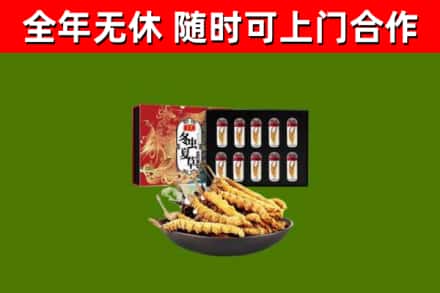 松山区回收冬虫夏草价格