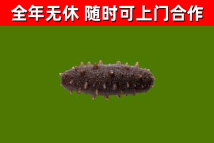 松山区烟酒回收干海参.jpg